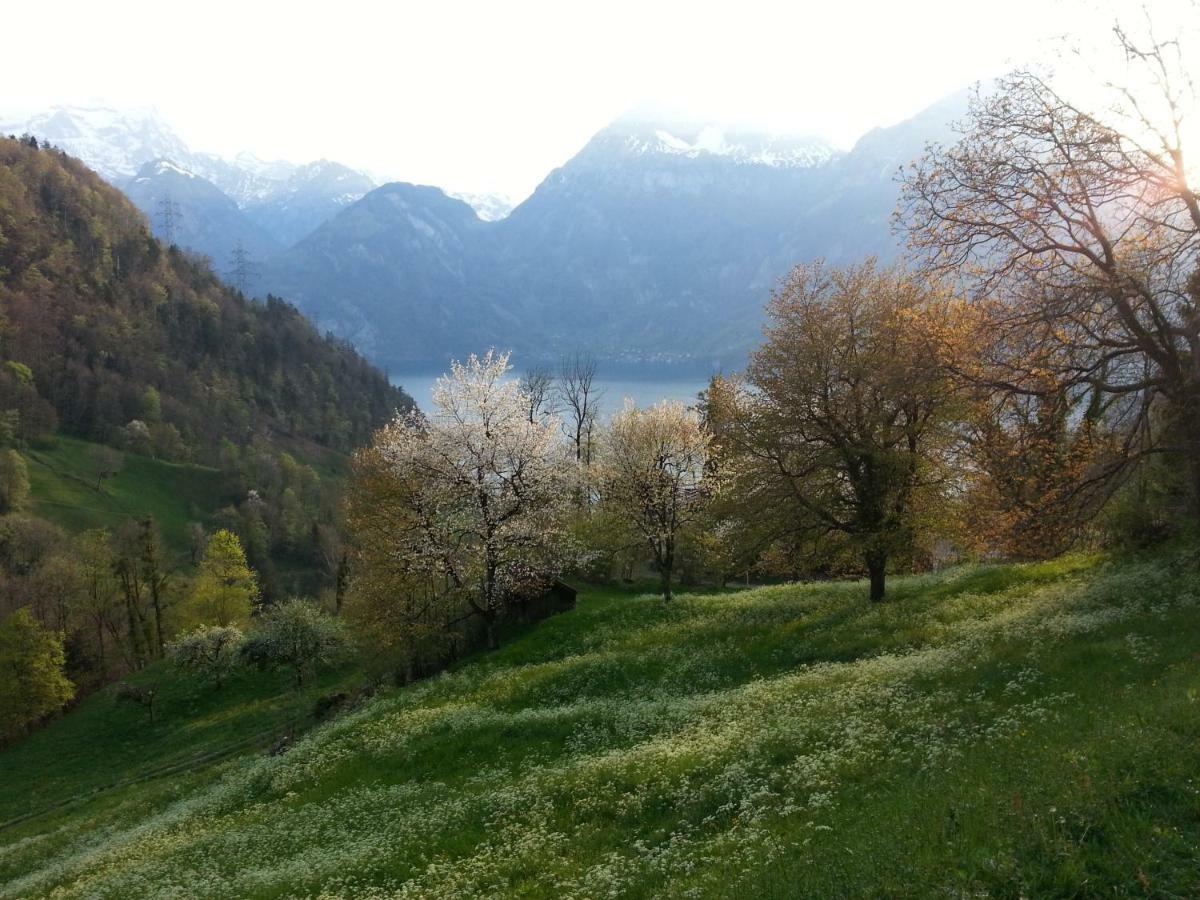 Готель Panorama Jurte Ueber Dem Uri-See A Sisikon Екстер'єр фото